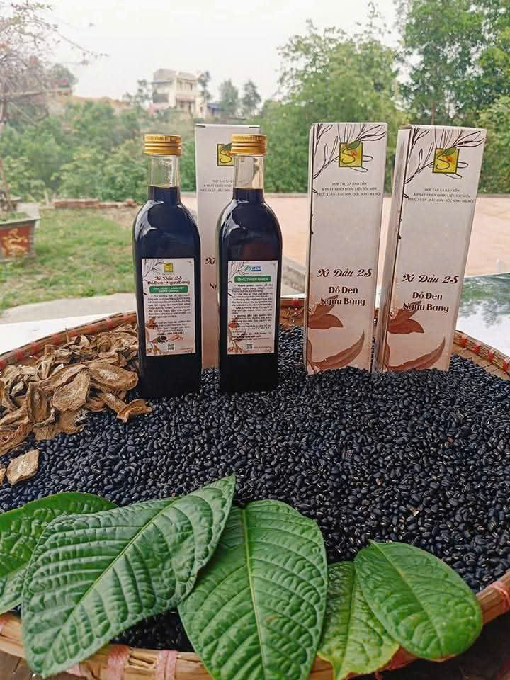 Xì dầu 2S Đỗ đen - Ngưu bàng